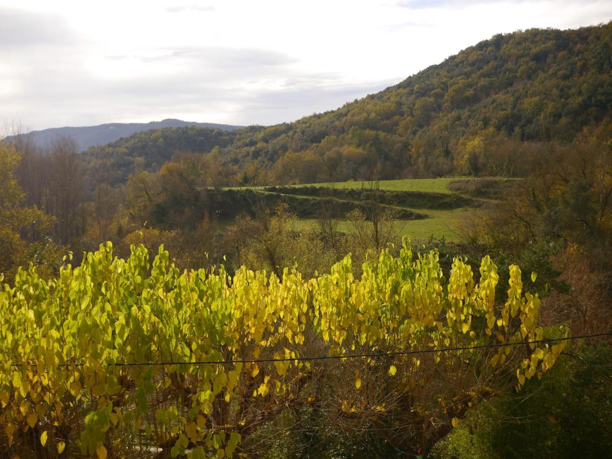 Mas Franch Apartament *