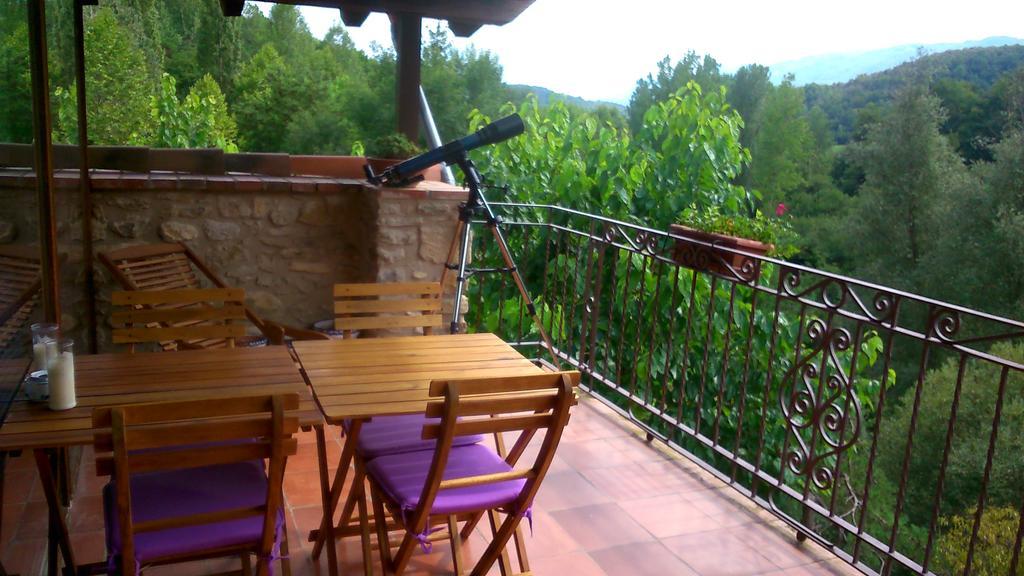 Apartament Mas Franch *