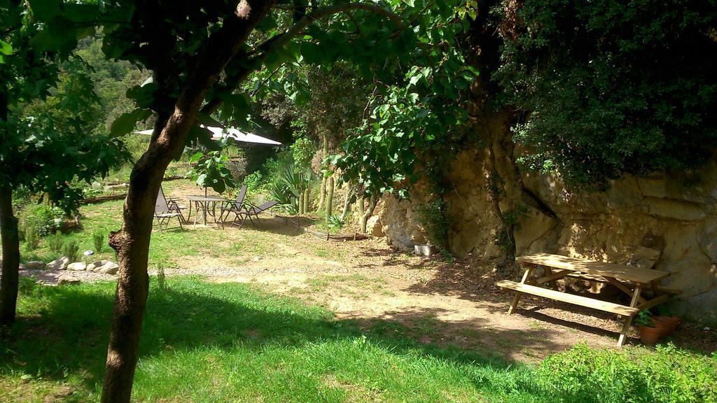 Apartament Mas Franch *